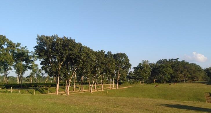 শমসেরনগর গলফ গ্রাউন্ডে